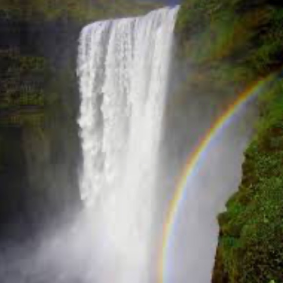 Meet your Posher Emme - Picture 3 of 11